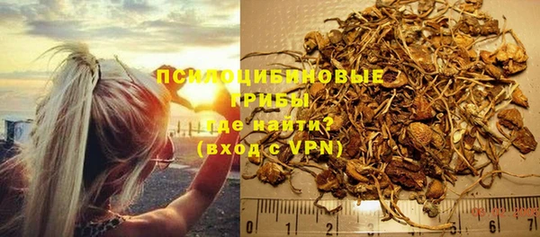 ешки Инсар