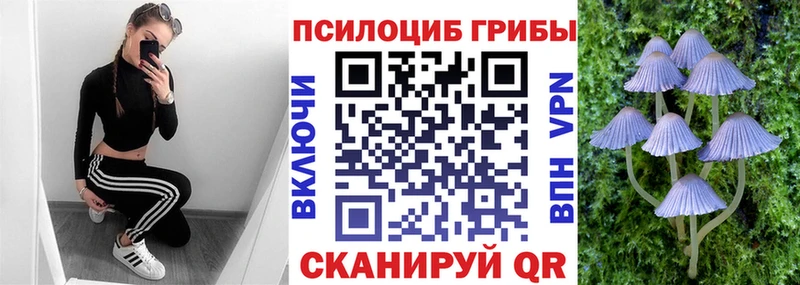 Псилоцибиновые грибы мицелий  Рославль 