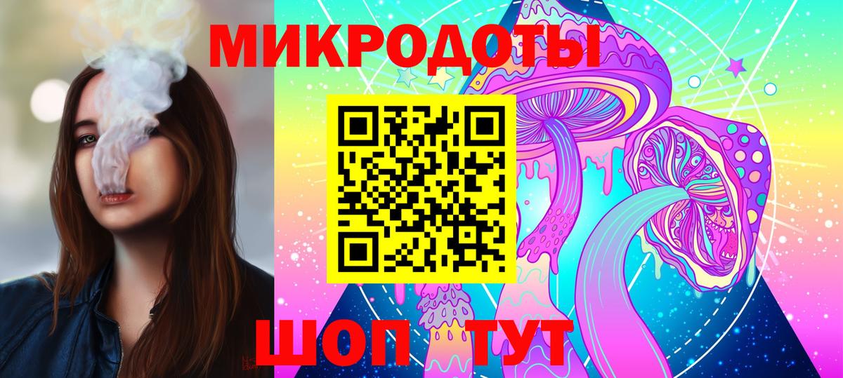 Псилоцибиновые грибы Psilocybe Рославль