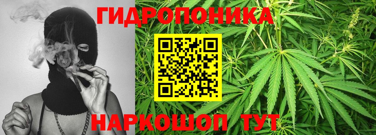 Канабис тримм  Бошки марихуана Amnesia  Марихуана марихуана  Рославль 